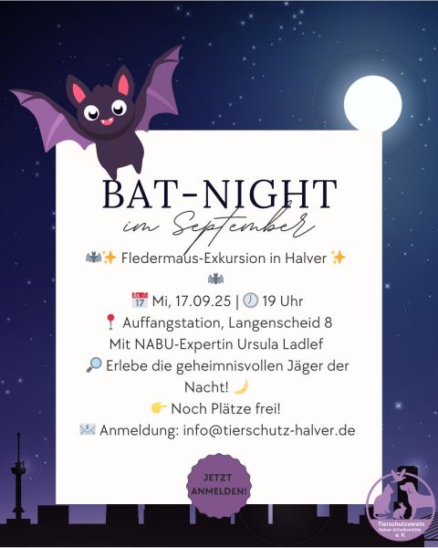 Bat Night